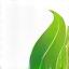 Leaf icon symbolizing growth and empowerment